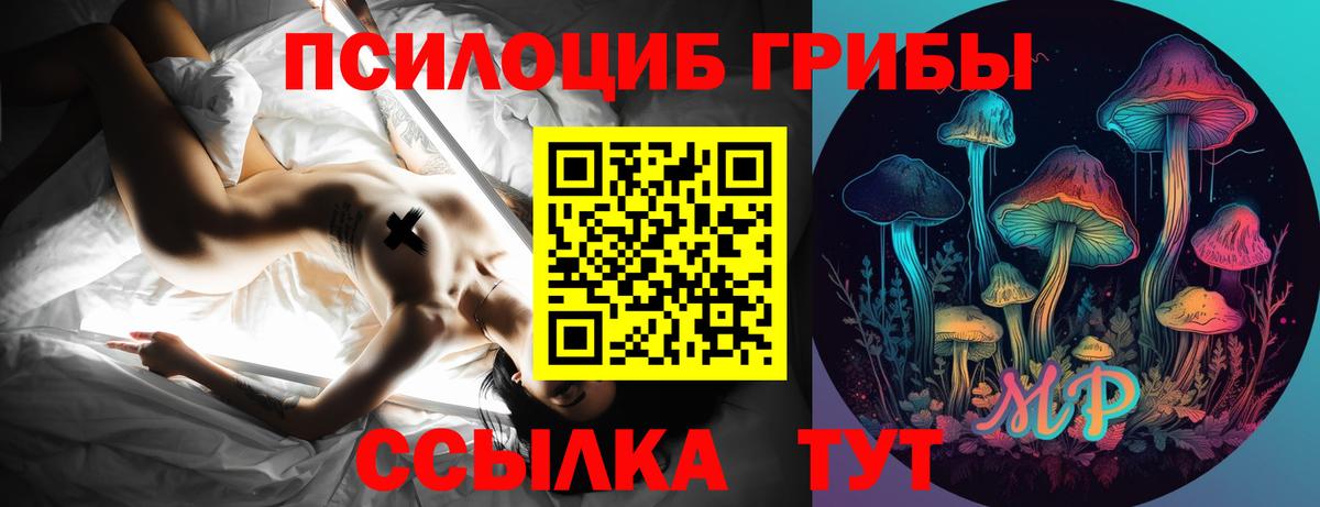 Псилоцибиновые грибы мухоморы  Вход с VPN  Дивногорск 